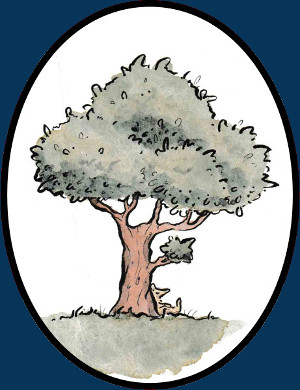 Baumpflege & Naturwiesen